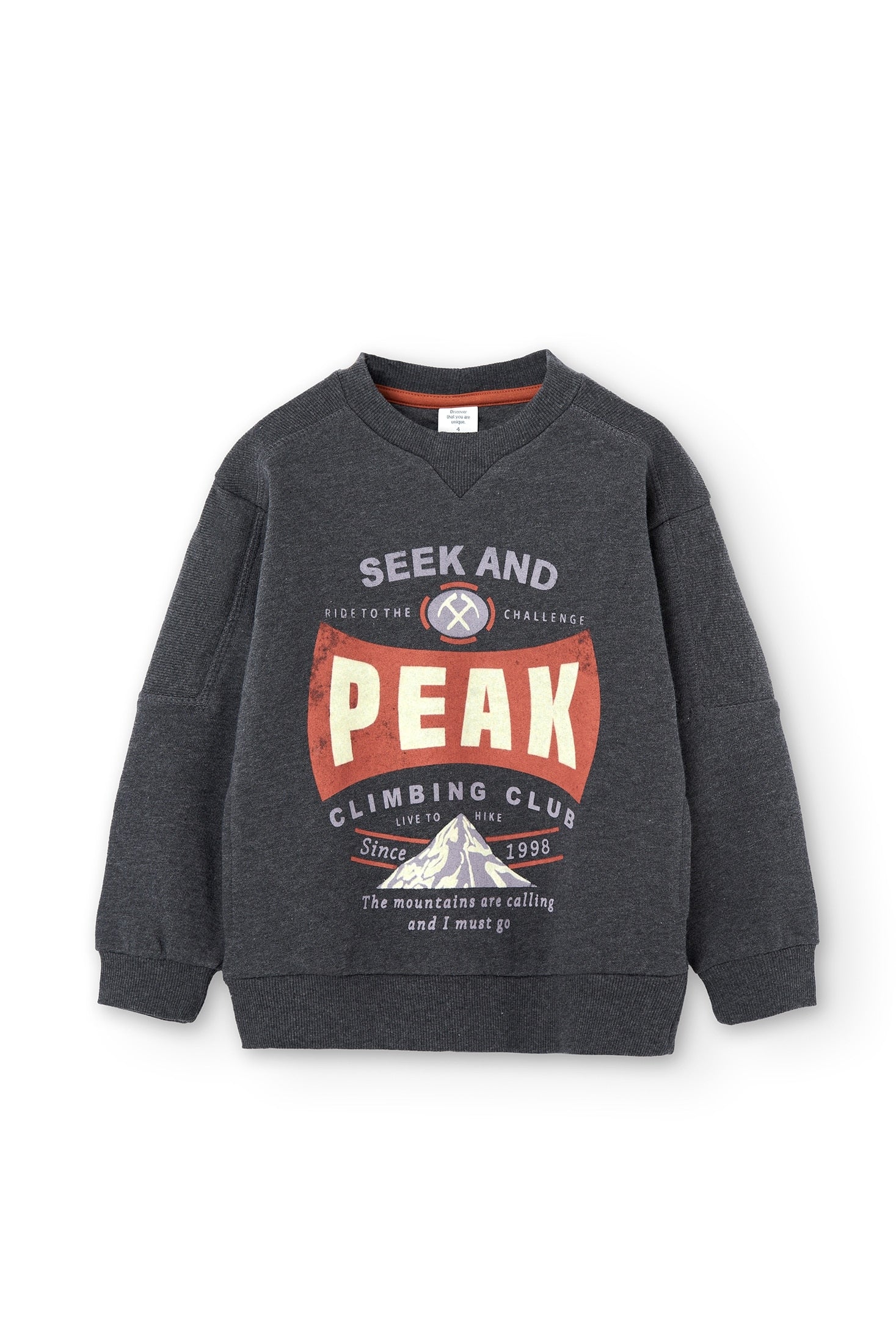 Sudadera Gris Peak