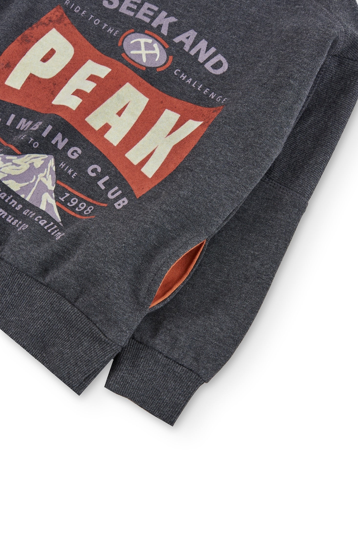 Sudadera Gris Peak